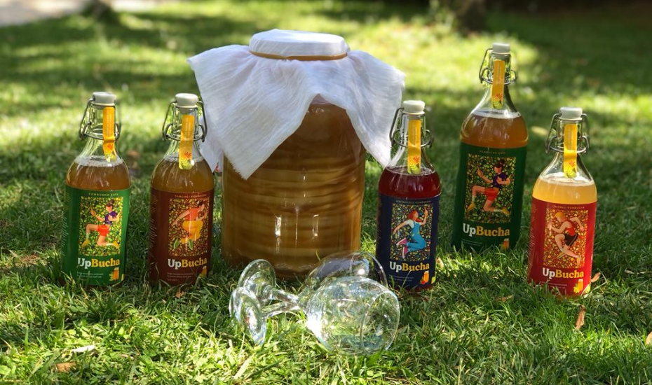 Kombucha ve Bağırsak Mikrobiyomu Arasındaki Bağlantı